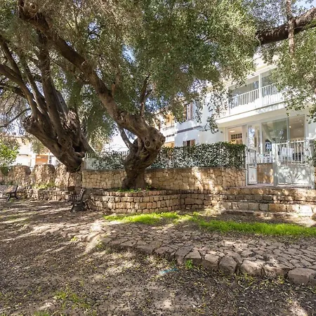 Appartement Casa Olivastro Millenario B